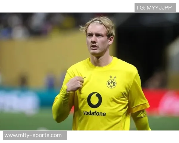 多特蒙德后防危机加剧安东安塞尔米诺或将长期缺阵 多特蒙德后防危机加剧安东安塞尔米诺或将长期缺阵